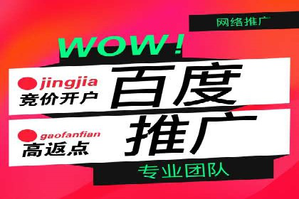 百度竞价包年案例：助力企业业绩增长